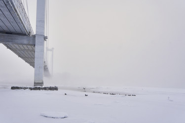 Similar image 21496054