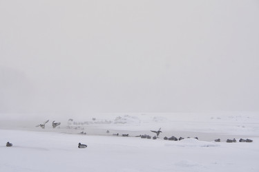 Similar image 21496055