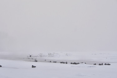 Similar image 21496056