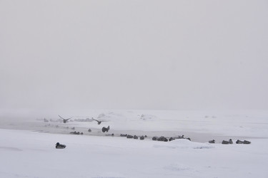 Similar image 21496059