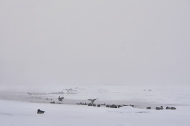 Similar image 21496060