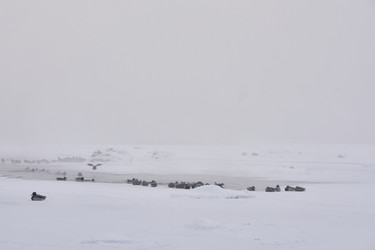 Similar image 21496061