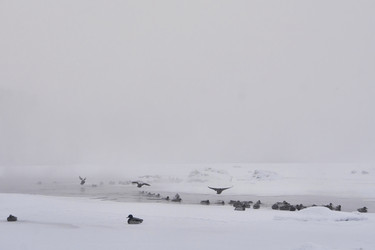 Similar image 21496063