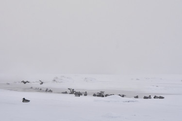 Similar image 21496064