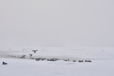 Similar image 21496066