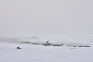 Similar image 21496067