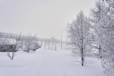 Similar image 21496068