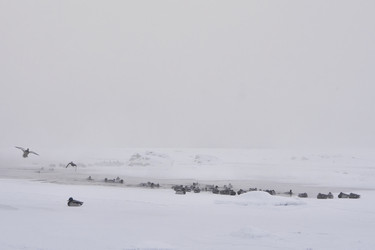 Similar image 21496069