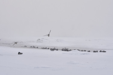 Similar image 21496070