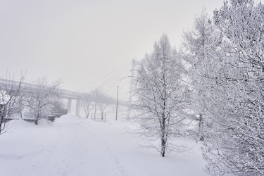 Similar image 21496071