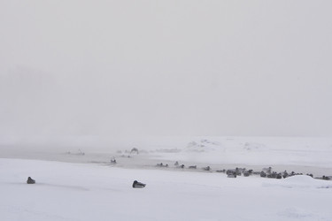 Similar image 21496072