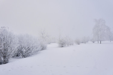 Similar image 21496073