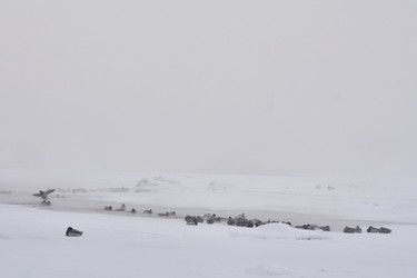 Similar image 21496074