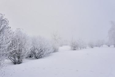 Similar image 21496075