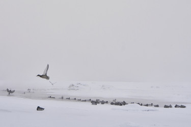 Similar image 21496076