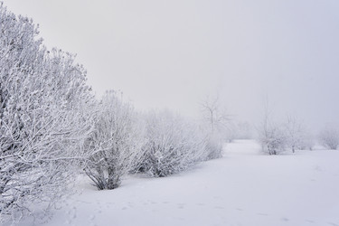 Similar image 21496078