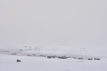 Similar image 21496079