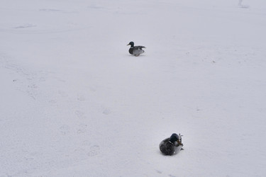 Similar image 21496505