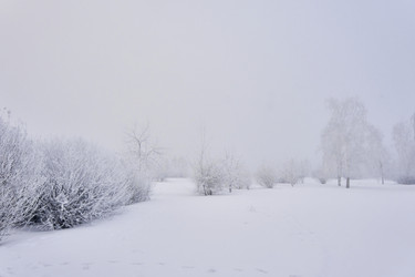 Similar image 21496506