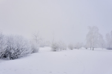 Similar image 21496509