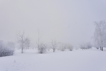 Similar image 21496512