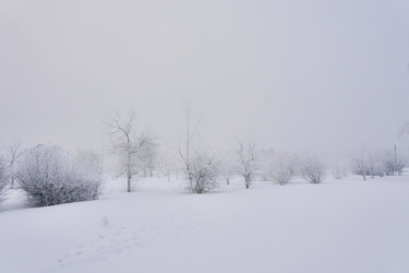 Similar image 21496515