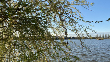 Similar image 21490989