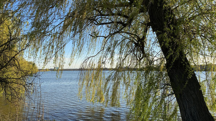 Similar image 21492552