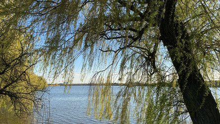 Similar image 21490990