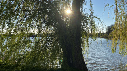 Similar image 21497314