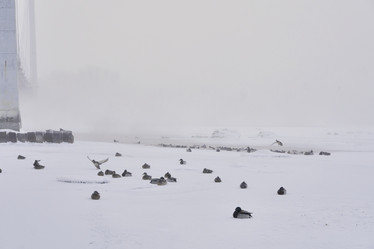 Similar image 21496516