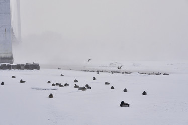 Similar image 21496517