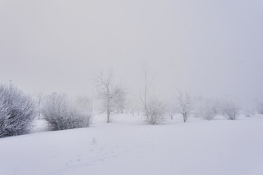 Similar image 21496518