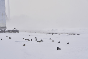 Similar image 21496519