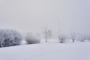 Similar image 21496520