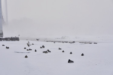 Similar image 21496521