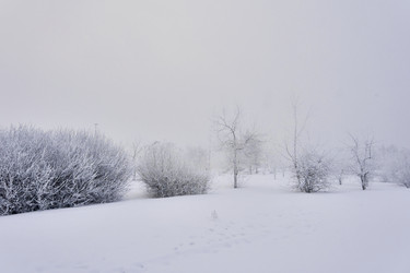 Similar image 21496522