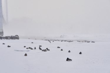 Similar image 21496523