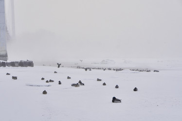 Similar image 21496524