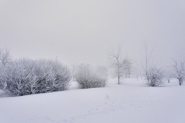 Similar image 21496525