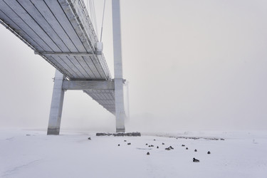 Similar image 21496526