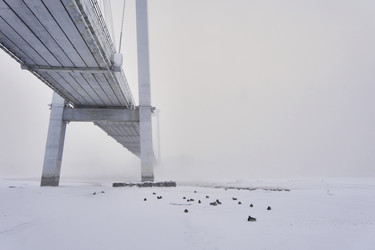 Similar image 21496527