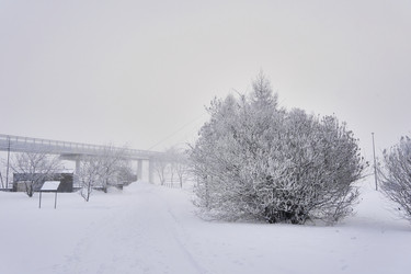 Similar image 21496528