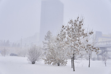 Similar image 21496530