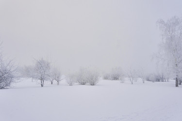 Similar image 21496537