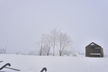 Similar image 21496540