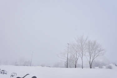 Similar image 21496542