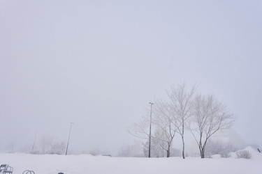 Similar image 21496544