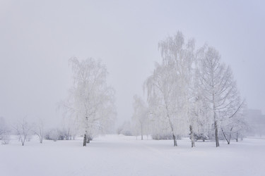 Similar image 21496546