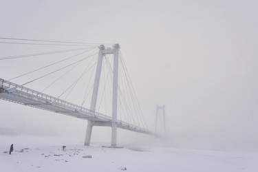 Similar image 21496549